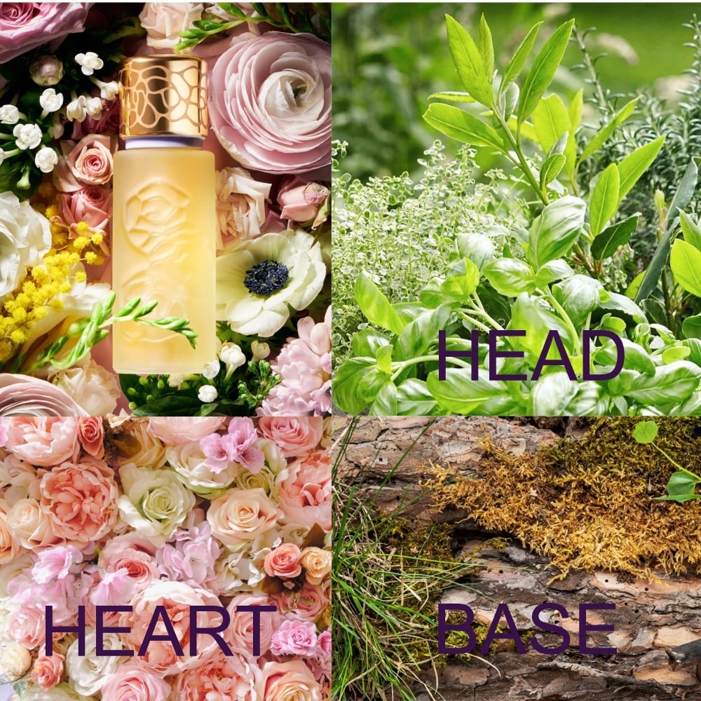 Houbigant Quelques Fleurs 로오리지널 향 샘플 Houbigant Quelques Fleurs 로오리지널 향 샘플