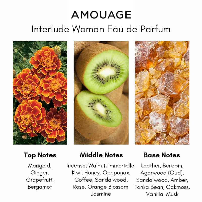 Amouage Interlude Woman 2ml 0.06 온스 공식 향수 샘플 향수 테스터
