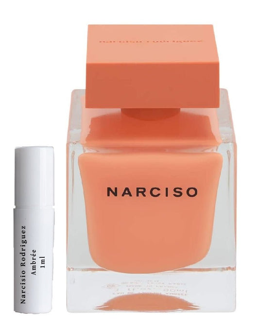 Narcisio Rodriguez Ambrée 향수 샘플 1ml
